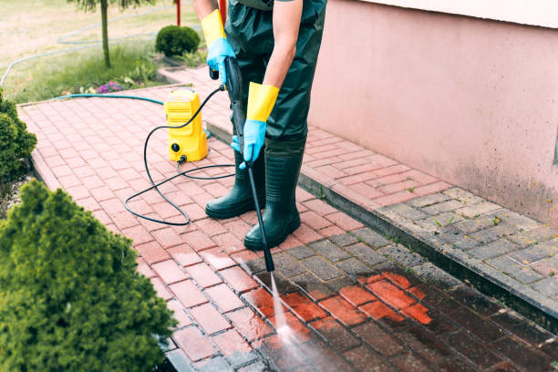 Best House Exterior Washing  in Jamestown, NY